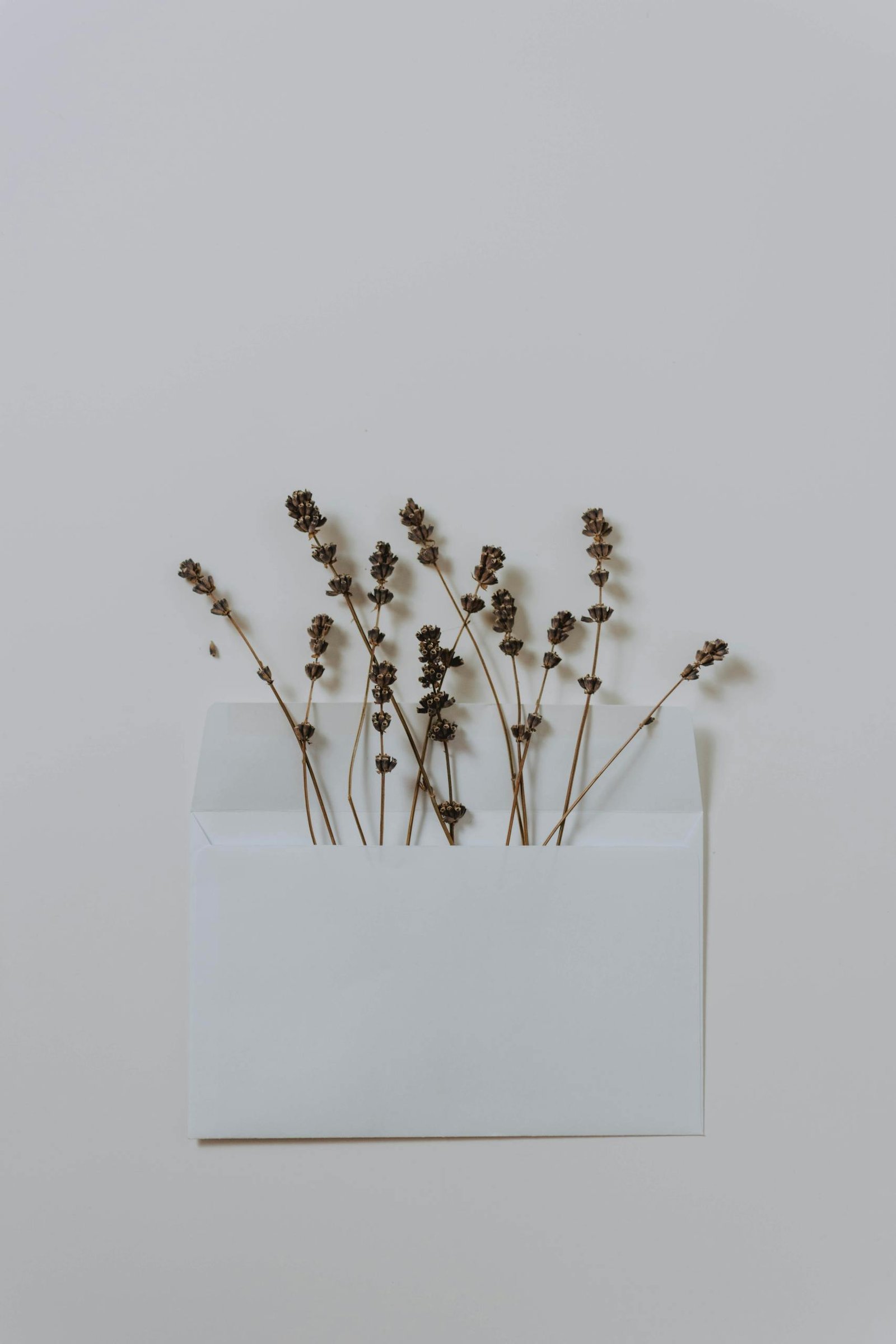A minimalist flat lay of dried flowers in an open envelope on a neutral background.